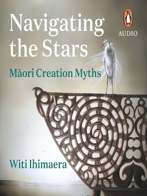 Cover image for Navigating the Stars